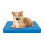 Housse Pour Animaux Imperméable Avec Fermeture Éclair