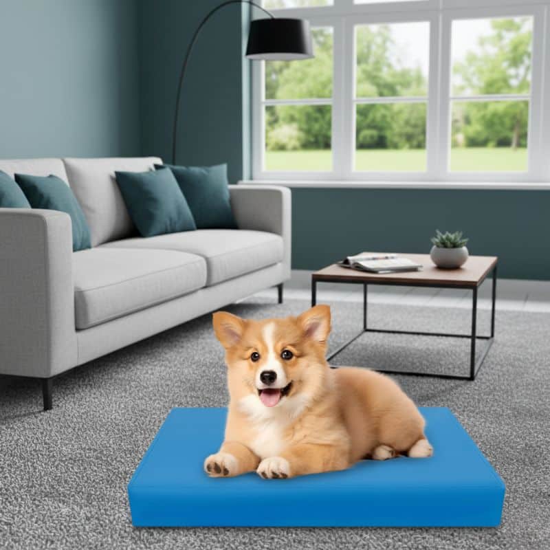 10-115 Housse Pour Animaux Imperméable Avec Fermeture Éclair