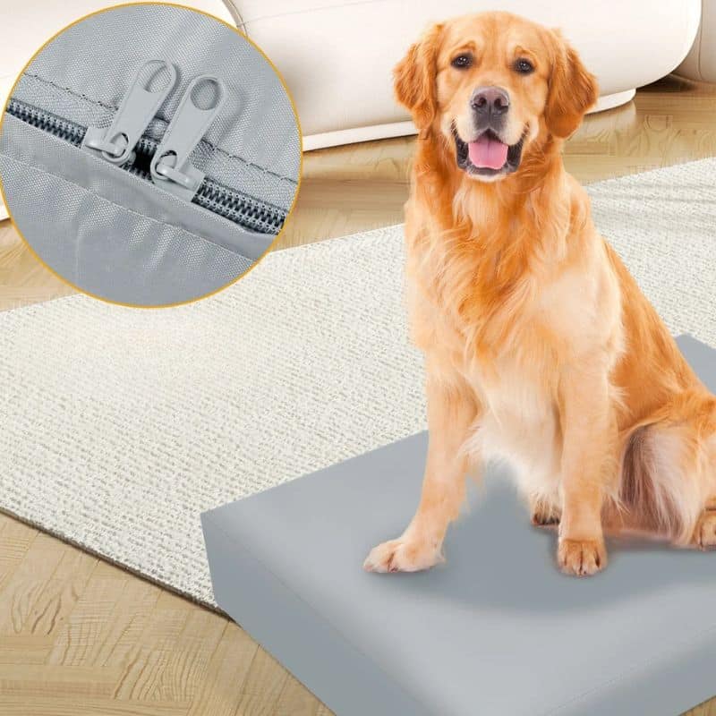 Housse Pour Animaux Imperméable Avec Fermeture Éclair Housse Pour Animaux Imperméable Avec Fermeture Éclair