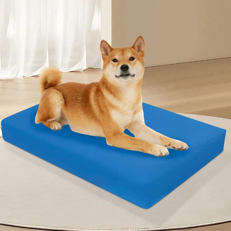 Housse Pour Animaux Imperméable Avec Fermeture Éclair Housse Pour Animaux Imperméable Avec Fermeture Éclair