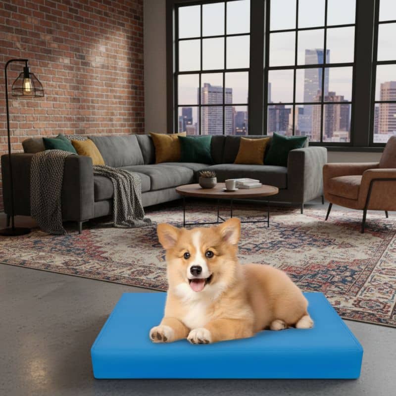 9-119 Housse Pour Animaux Imperméable Avec Fermeture Éclair